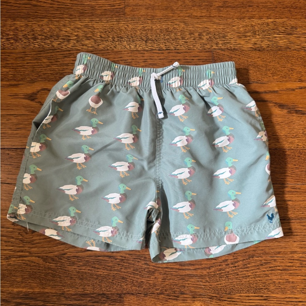 Pink Chicken / Blue Rooster Duck Print Swim Shorts 8Y